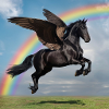 Rainbow Pegasus