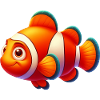 Clownfisch