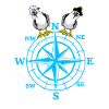 maritime compass seagulls seagull