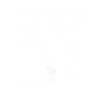 Preserving homemade food