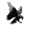 Shadow Eagle