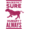 Tiger - Africa - Wilderness - Nature Conservation