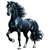 black beauty