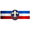 Bandeau brassard Ligue
