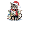 Chat de Noël
