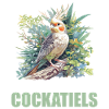 Cockatiel Nymphensittiche Nymphensittich