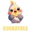 Cockatiel Nymphensittiche Nymphensittich