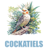 Cockatiel Nymphensittiche Nymphensittich
