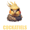 Cockatiel Nymphensittiche Nymphensittich