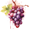 Grapes