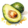 Avocado 2