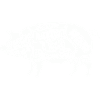 Pig Schwein
