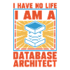 Database Architect