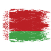 Belarus flag used look