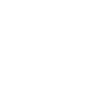 Profession Master
