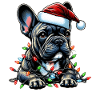 Fransk bulldog Frenchie Christmas Hat Xm