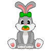 Bunny Baby Pacifier