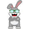 Bunny Sunglasses