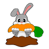 Rabbit Carrot