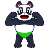 Panda Bodybuilder Musculation