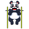Panda Bodybuilder Tractions Musculation