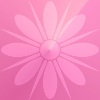 Pink Flower Beautiful Gift