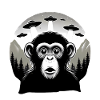 Monkey with UFO