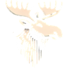 Majestic Moose Head Illustration
