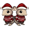 Armadillo Christmas Team