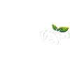 0% Vegan