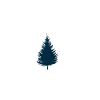 Christmas shirt - trees