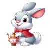 Rabbit 12