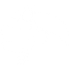 White Toucan Bird