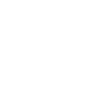 White Rose with Starlight