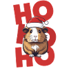 Christmas Santa Claus Guinea Pig