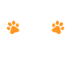 Cadeaux de grand-mère chat