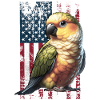 Jenday Conure US Yellow-headed Parakeet