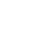 Camion