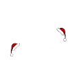 Noel2
