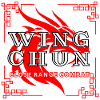 Wing Chun dragon t-shirt combat rapproché