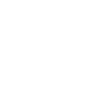 Basset Hound