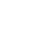 Cairn Terrier