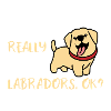 Labs
