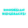 Rhodésian Ridgeback