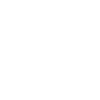 Sarcastic introvert