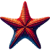 Starfish