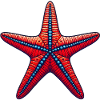 Étoile de mer