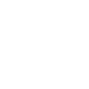 Majestic eagle ready to attack
