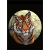 Majestic Tiger