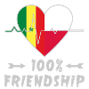 Senegal and Poland 100% friendship